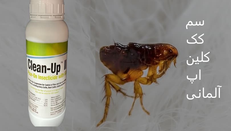 سم اصل المانی کک کلین اپ